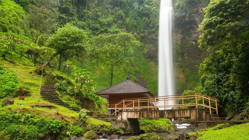 Eksplorasi Air Terjun Indah di Tengah Hutan: Harmoni Alam yang Menyegarkan Jiwa